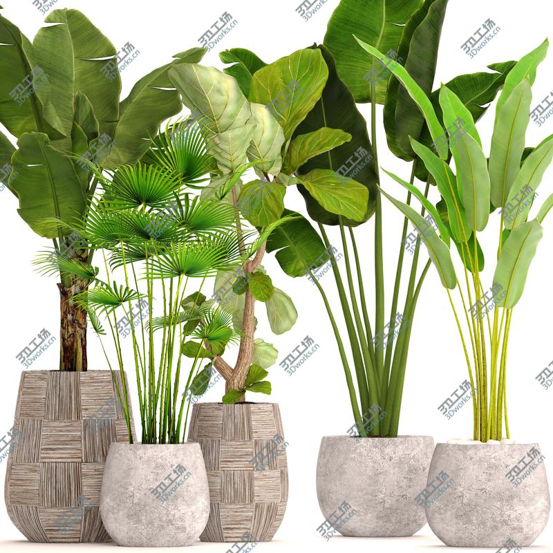 images/goods_img/202104022/Collection plants 3D model/1.jpg